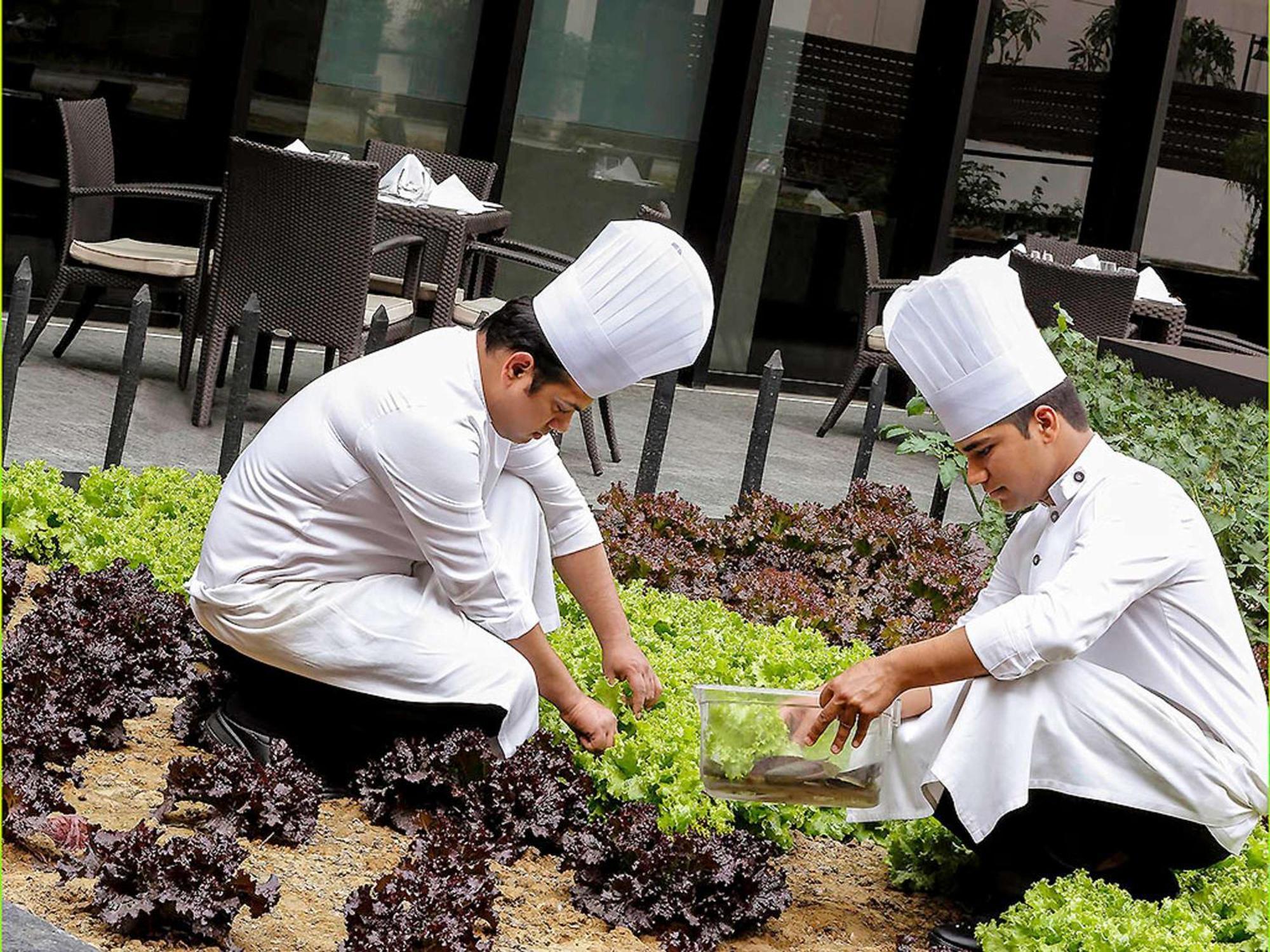 풀만 뉴델리 인터네셔널 에어포트- 아코르 럭셔리 브랜드 호텔 외부 사진 Students working in the school's garden